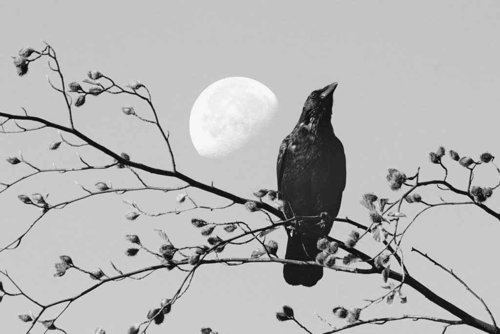 Hobby Fotografie 260