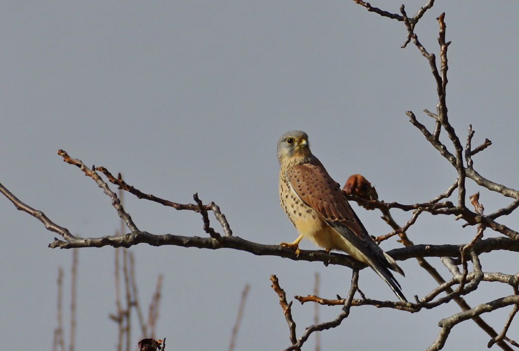 Hobby Fotografie 242