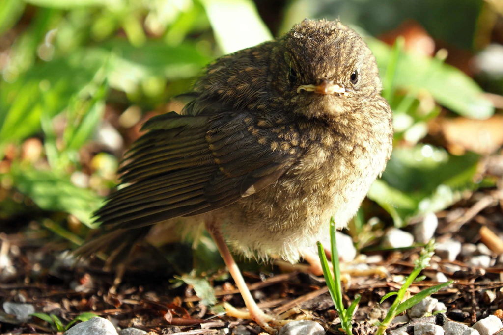 Hobby Fotografie 224